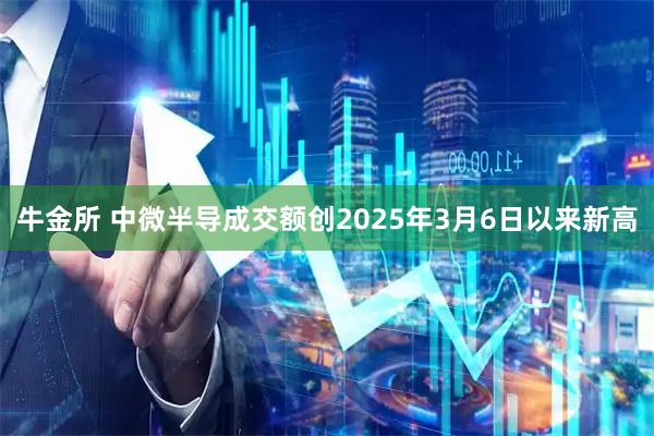牛金所 中微半导成交额创2025年3月6日以来新高