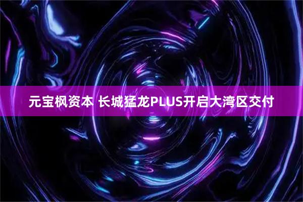 元宝枫资本 长城猛龙PLUS开启大湾区交付
