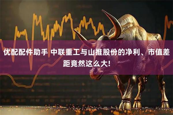 优配配件助手 中联重工与山推股份的净利、市值差距竟然这么大!