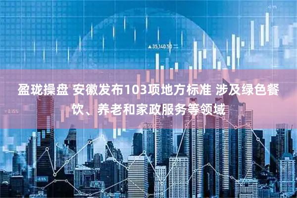 盈珑操盘 安徽发布103项地方标准 涉及绿色餐饮、养老和家政服务等领域